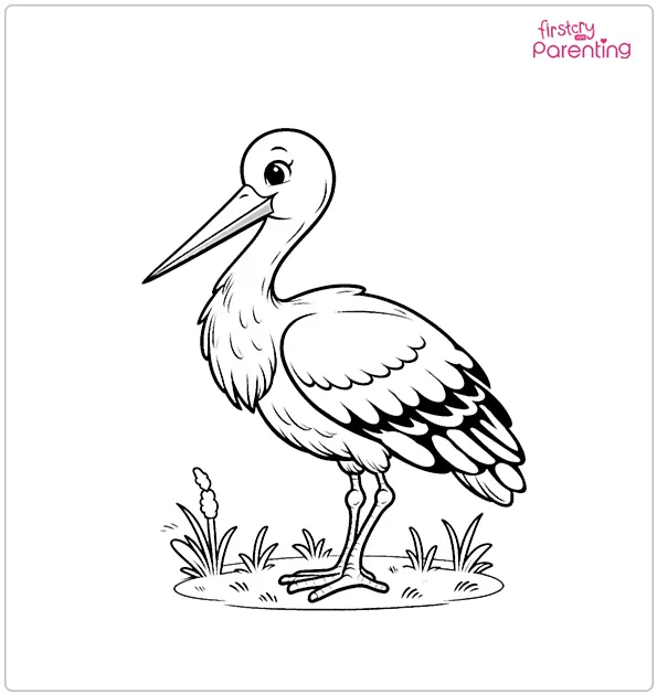 Stork Bird Coloring Page