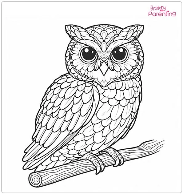 owl coloring page