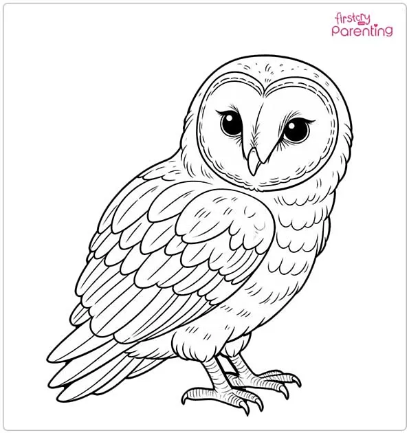 Barn Owl Coloring Page