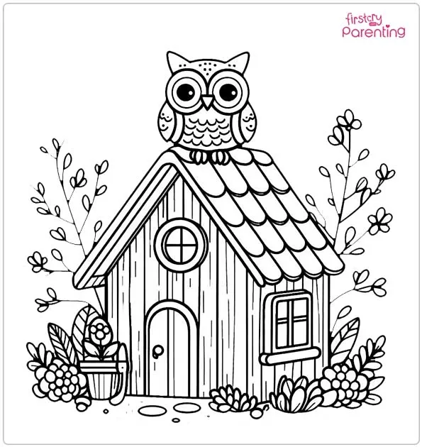 Owl on the House Coloring Page