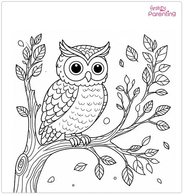 Owl on Tree Coloring Page