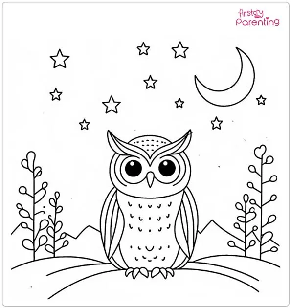 Owl Under the Stars Coloring Page