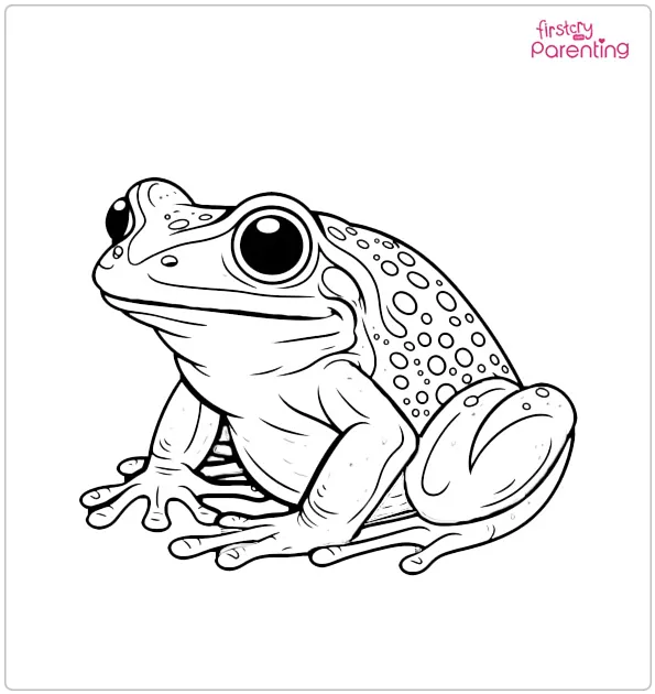Adult Frog Coloring Page