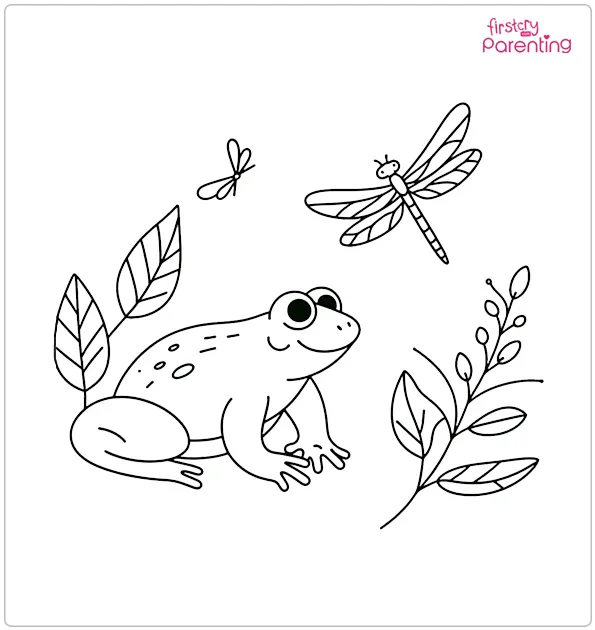 Frog and Dragonfly Coloring Page