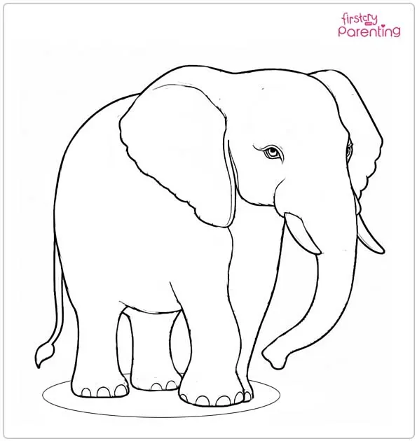 Adult Elephant Coloring Page