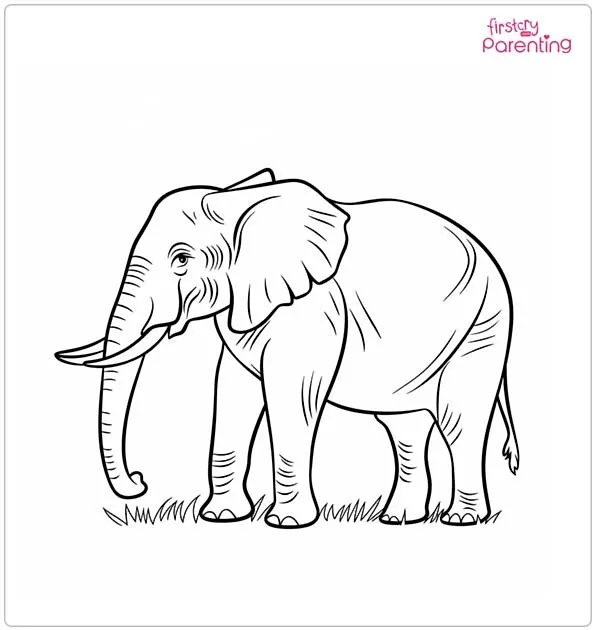 Indian Elephant Coloring Page