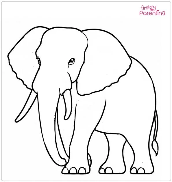 African Elephant Coloring Page