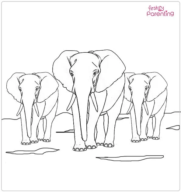 Herd of Elephants on the Plains Coloring Page