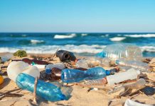 Essay On Plastic Pollution In Hindi