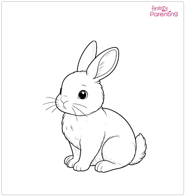 Sitting Rabbit Coloring Page