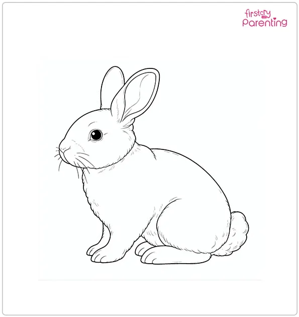 Realistic Rabbit Coloring Page