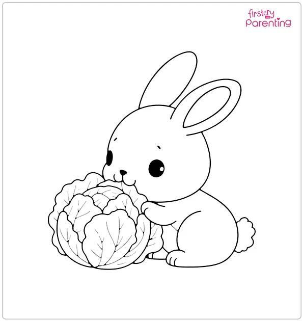 Rabbit Eating Cabbages Coloring Page