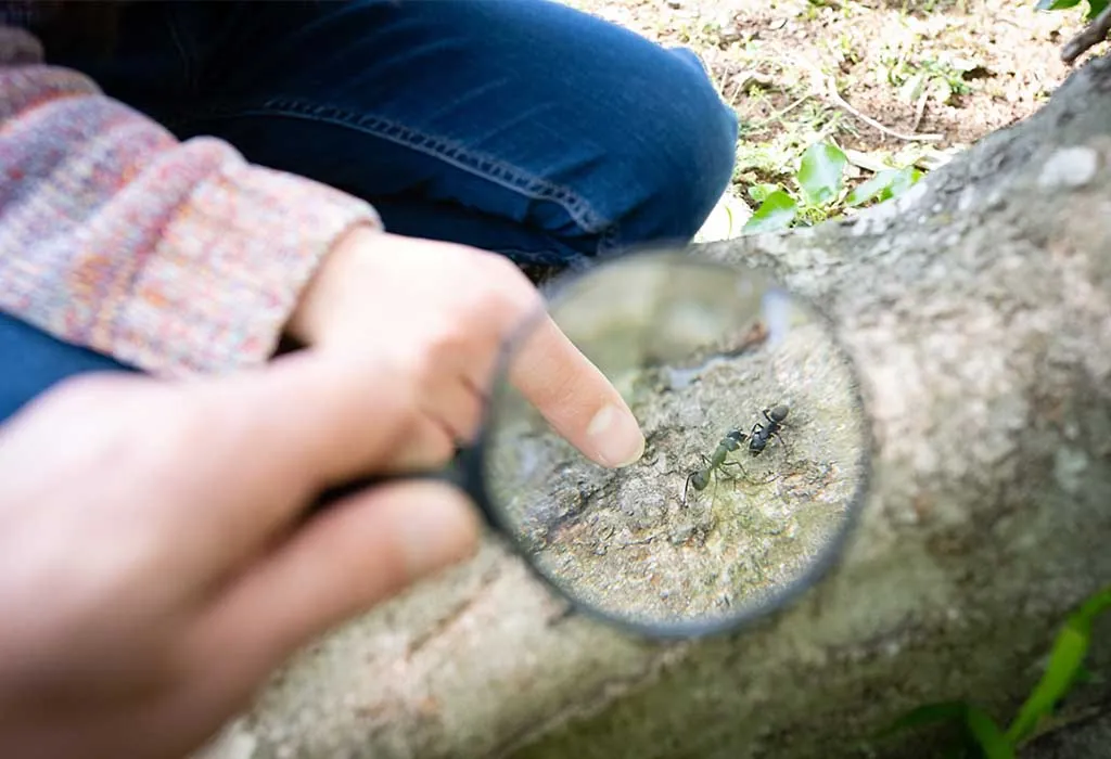 Bug Hunt