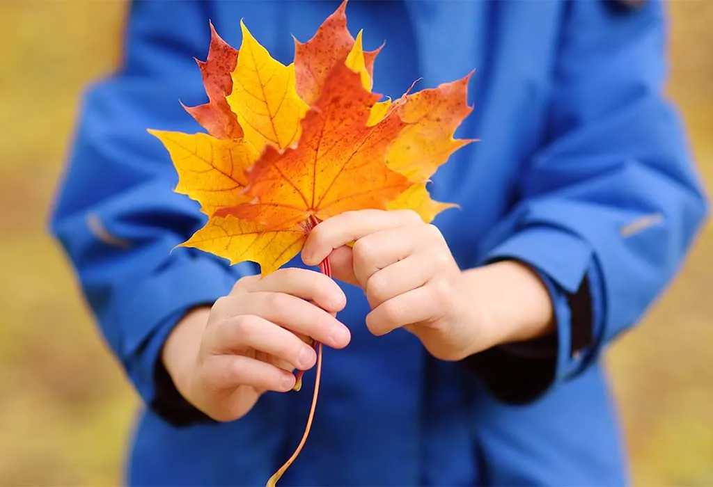Seasonal Scavenger Hunt
