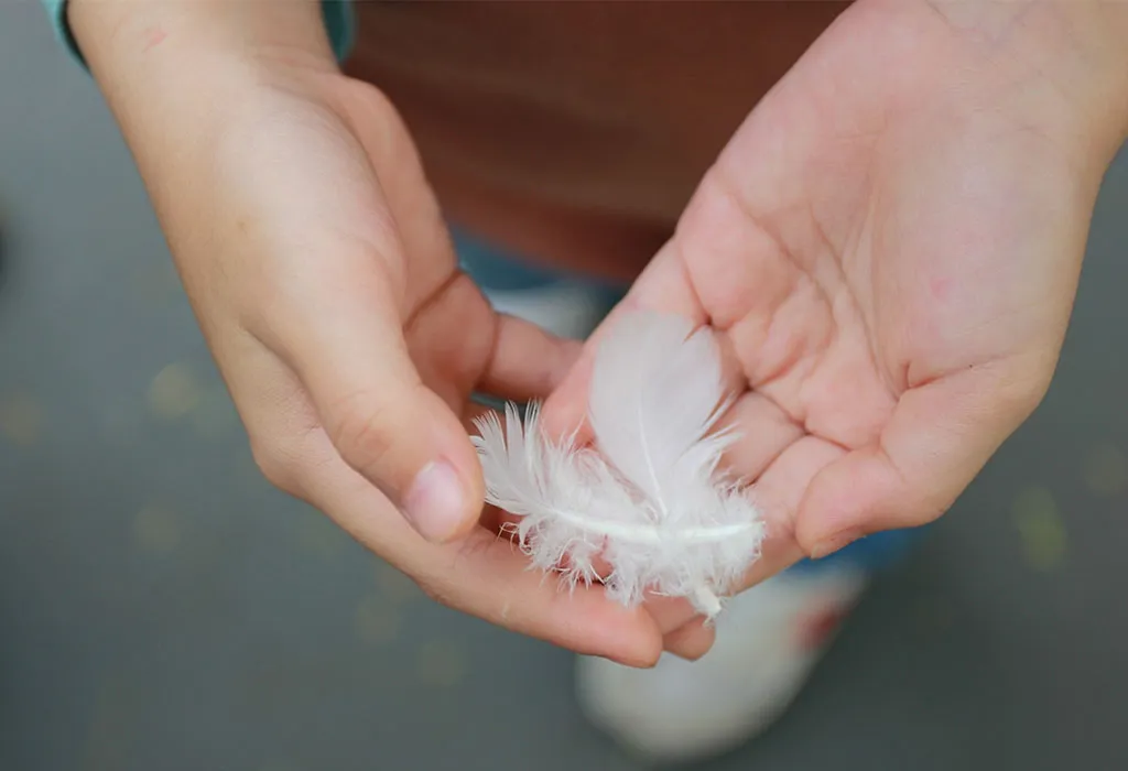 Sensory Scavenger Hunt