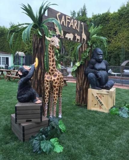 Safari Adventure birthday theme