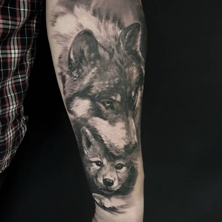 Wolf and Cub