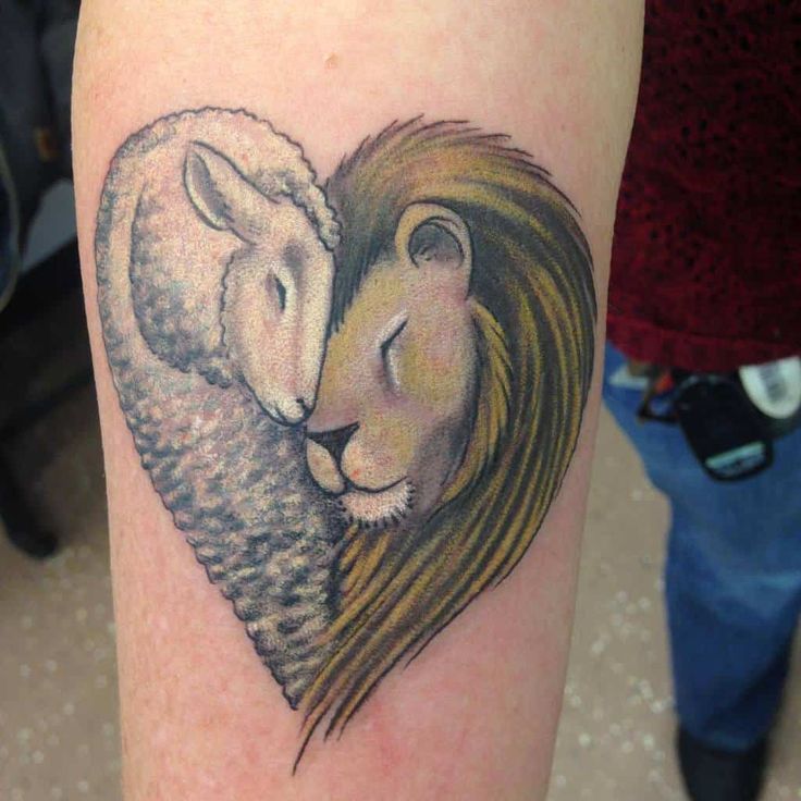 Lion and Lamb