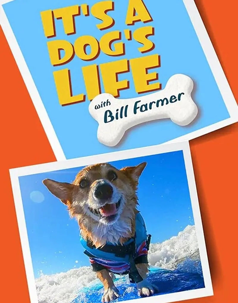 A Dog's Life With Bill Farmer