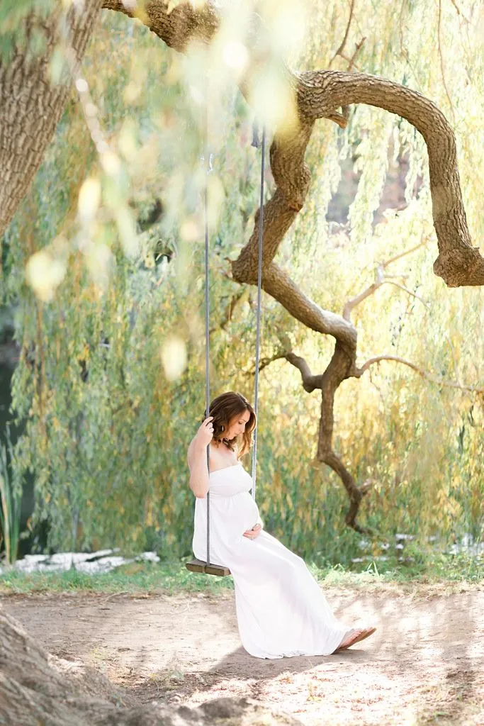 Rustic Swing