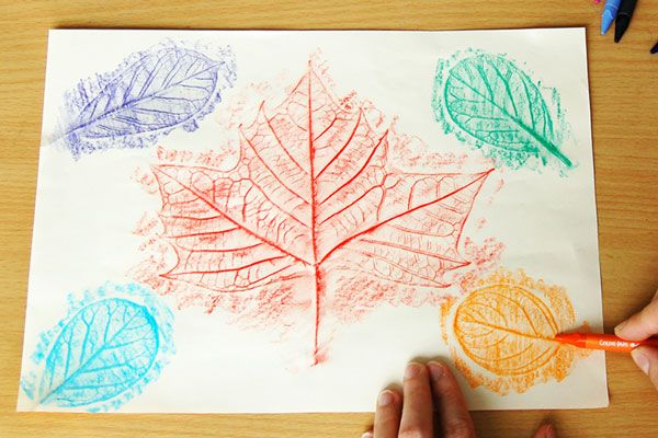 Leaf Rubbing Art