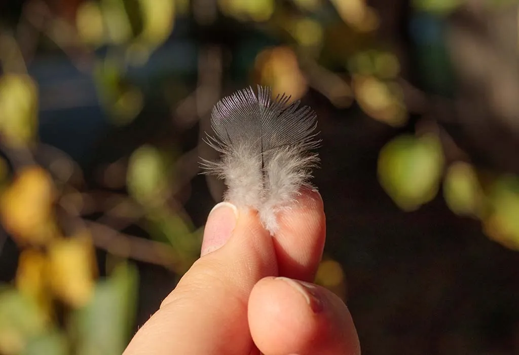 Turkey Feather Scavenger Hunt