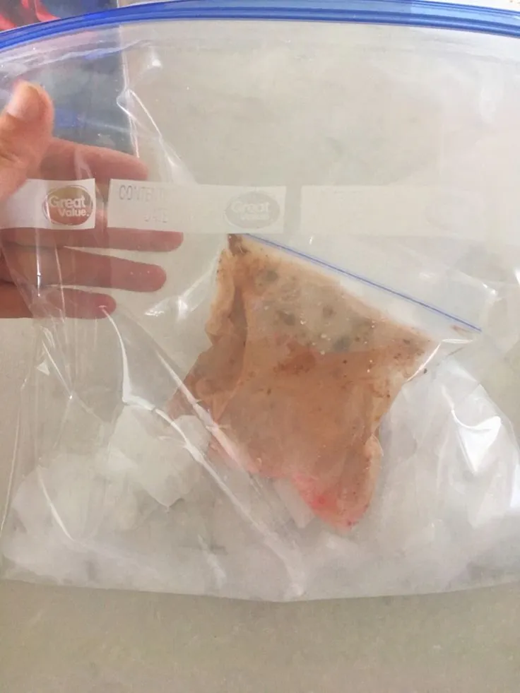 Ice Cream in a Bag