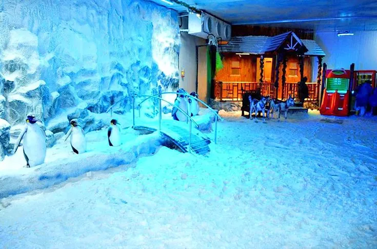 Snow World Snow World