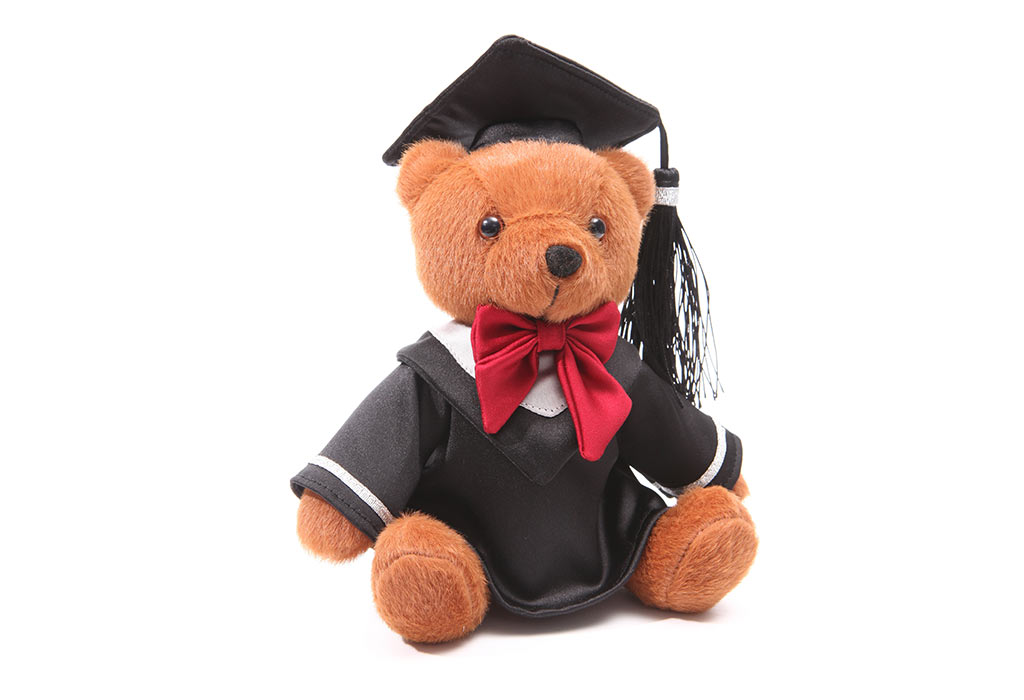 Graduation Plush Toys
