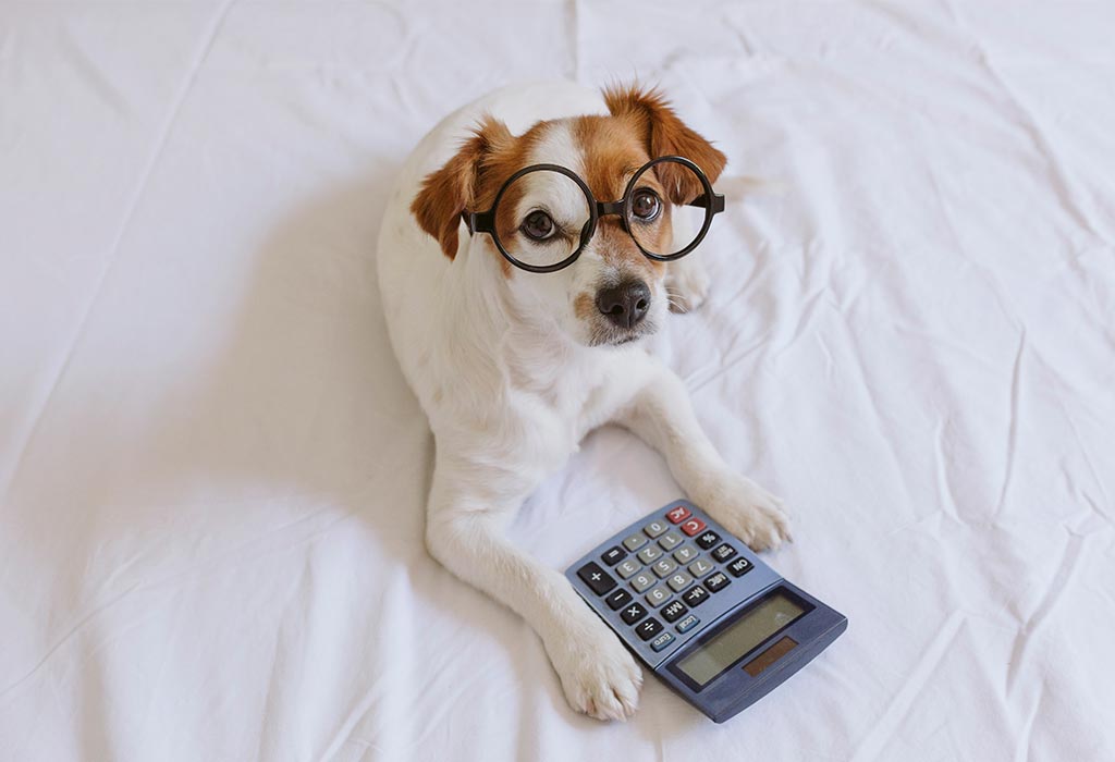 Funny Math Jokes for Kids
