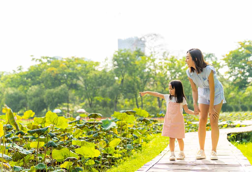 Include Outdoor Play and Nature Walks