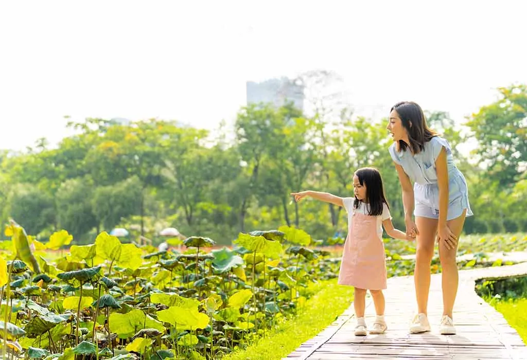 Include Outdoor Play and Nature Walks
