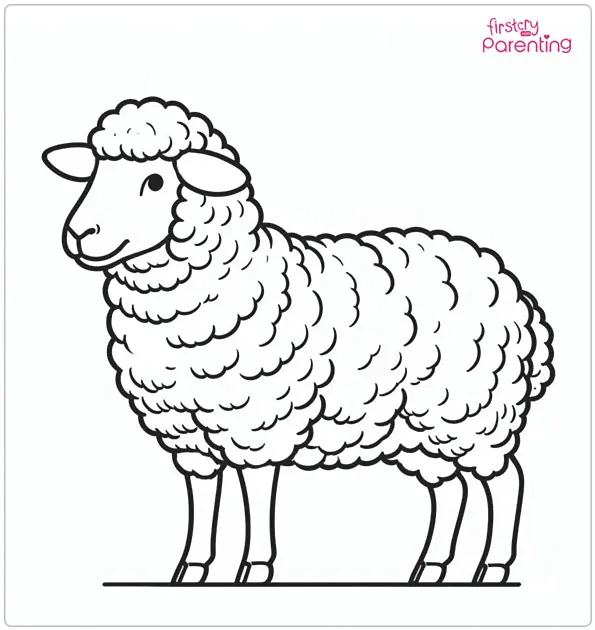 sheep coloring page