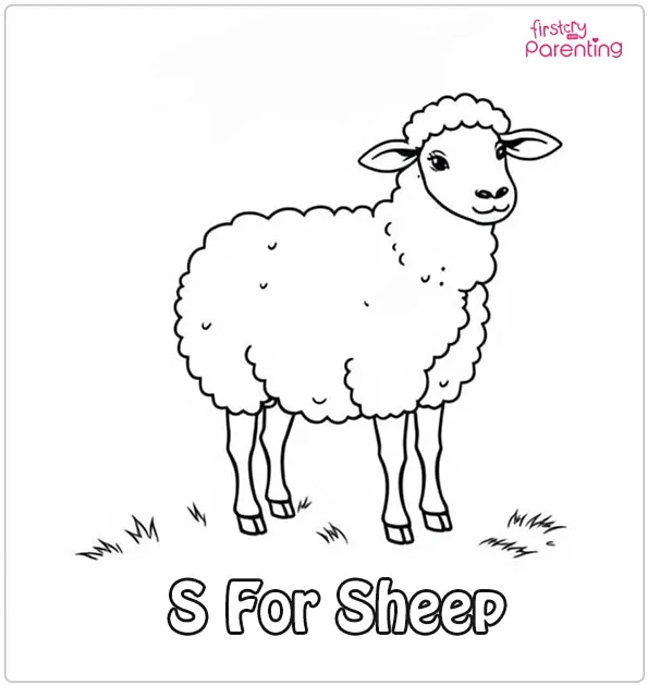 S Is For Sheep Coloring Page