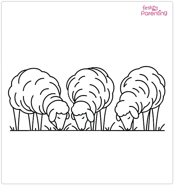 Three Sheep Eating Grass Coloring Page