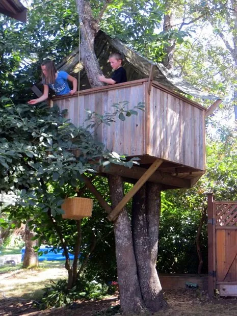 Tree Fort Tree Fort