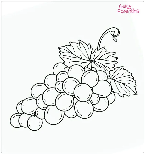 Grapes Coloring Page