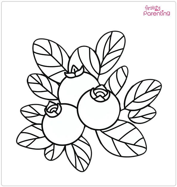 Blueberry Coloring Page