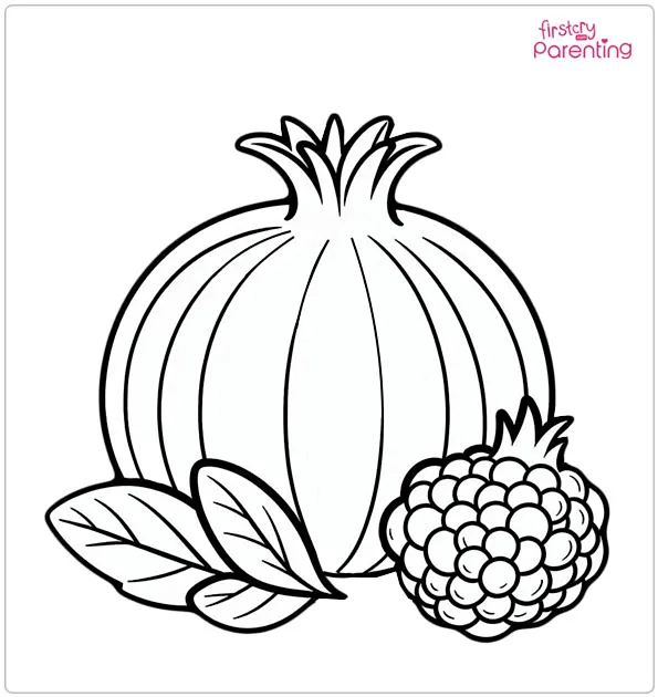 Pomegranate Coloring Page