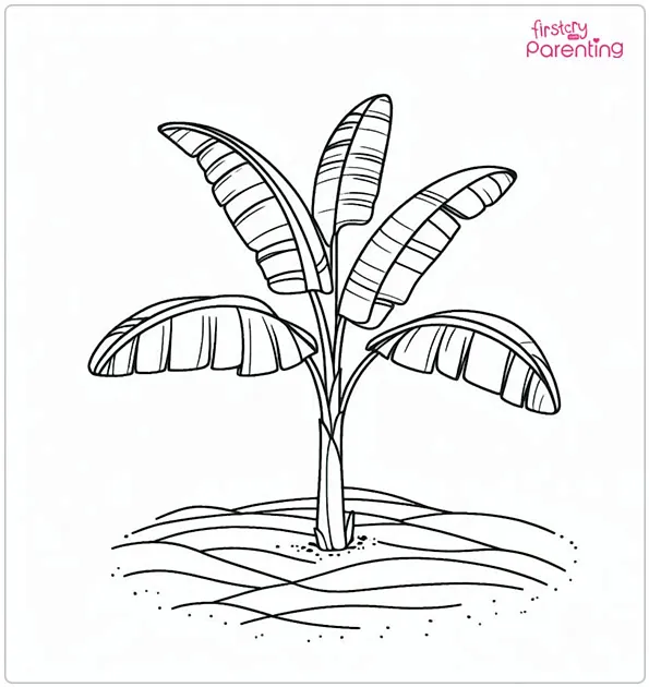Banana Tree Coloring Page