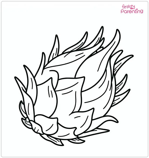 Pink Dragon Fruit Coloring Page