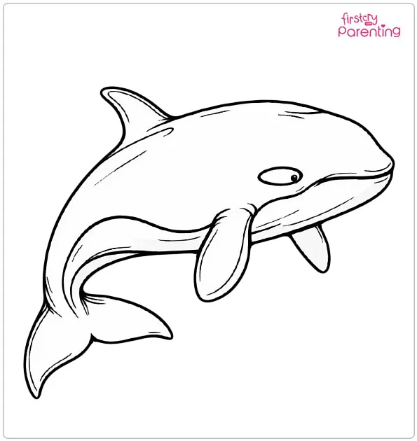 Killer Whale Coloring Page