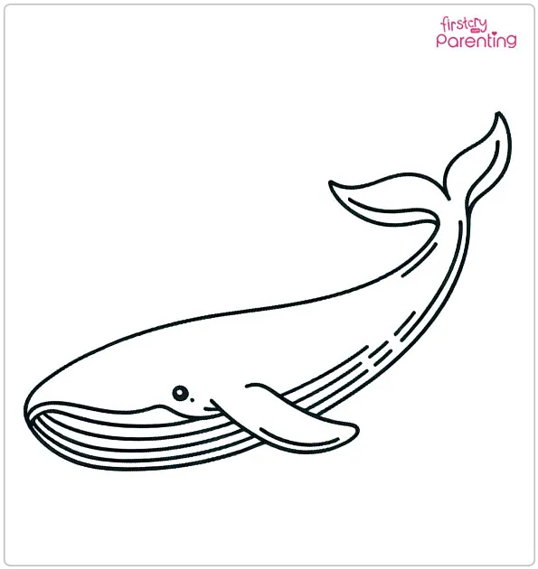 Blue Whale Coloring Page