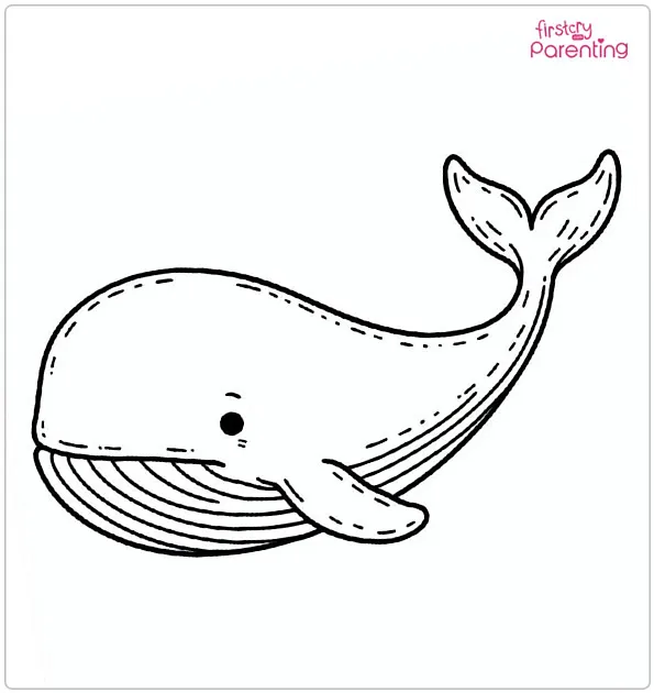 Realistic Whale Coloring Page