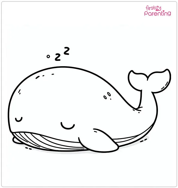 Sleeping Whale Coloring Page