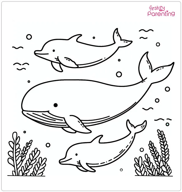 Whale and Dolphins Coloring Page