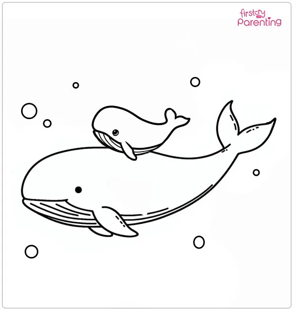 Whale Mother And the Baby Coloring Page