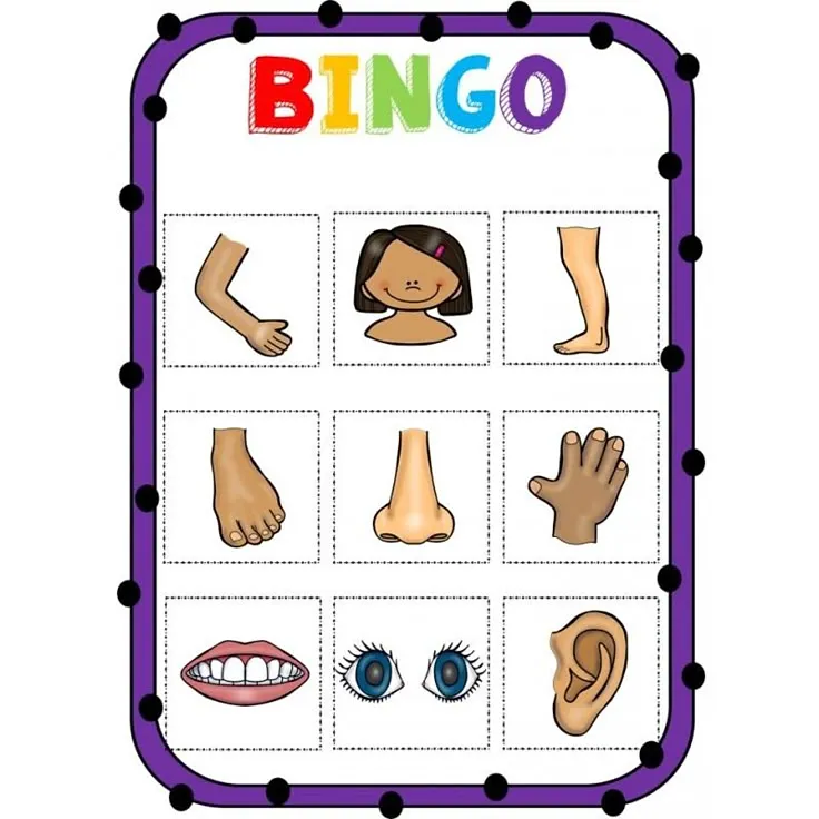 Body Bingo