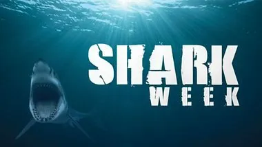 Shark Week (1988)