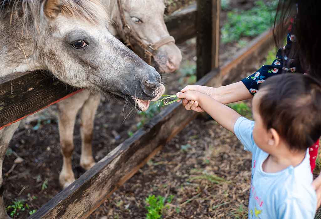 San Antonio Zoo